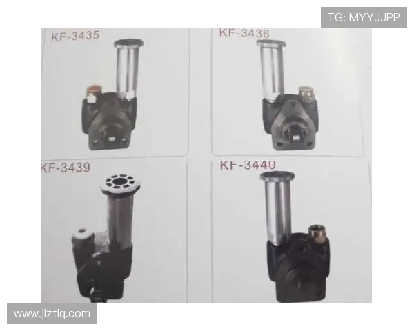 挖掘机燃油输油泵压力测试